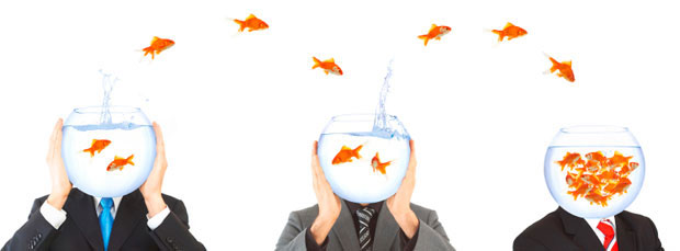 635890905480736327-1659071497_migration_page_image